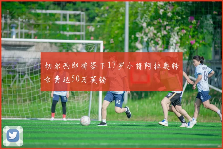 切尔西即将签下17岁小将阿拉奥转会费达50万英镑