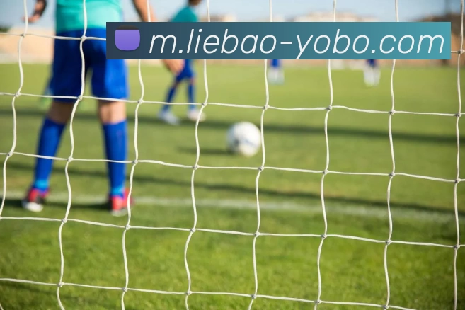 友博体育发展历程